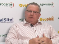 Entrevista Nestor Freiberger - AveLive - Siavs 2019