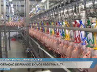 Exportação de frango e ovos registra alta no RS