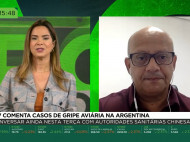 Asgav comenta casos de gripe aviária na Argentina