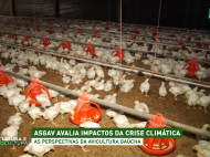 ASGAV avalia impactos da crise climática