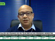 Exportação de frango do RS teve recuo no primeiro semestre