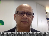 Newcastle: governo suspende exportações de carne de frango