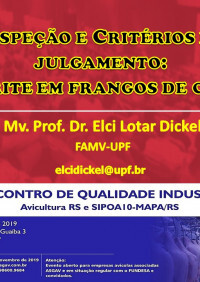 Apresentação Elci Dickel - 2º Encontro de Qualidade Industrial - 25/11/2019