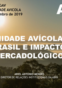 Apresentação Ariel Mendes - 2º Simpósio de Sanidade - 26/11/2019