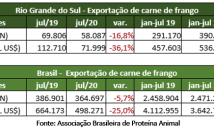 noticia/1700/5f3d1c136a2bf.png