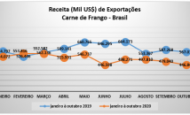 noticia/1800/5fad709c1bd6e.png