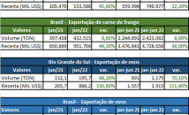 noticia/2445/62c740517cc6d.png