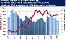 noticia/2620/63e38a292a961.jpg