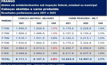 noticia/2629/63ea26089de2a.jpg