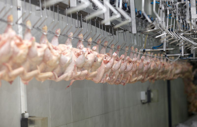 Exportações de carne de frango devem recuar entre 2% e 3% em 2018