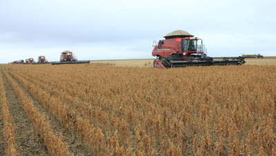 Agropecuária lidera aumento de 16,6% das exportações em outubro