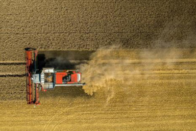 Produtividade dos grãos deve crescer 3% na safra 2018/19