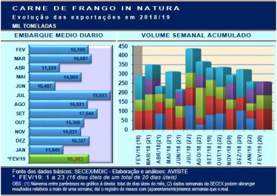 Exportação de frango em fevereiro deve superar as 325 mil/t