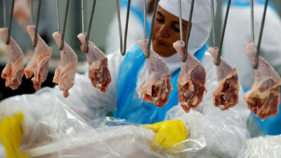 Exportações de frango crescem 2,2%, diz ABPA