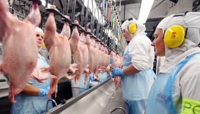 Frango: exportação sobe mais de 12% em fevereiro, aponta Secex