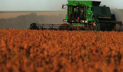 Valor da Produção Agropecuária de 2019 é estimado em R$ 572,9 bi