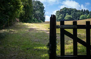 Prazo final do Sistema Nacional de Cadastro Rural é 31 de dezembro, alerta FPA