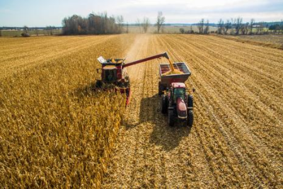 Faturamento da agropecuária deve atingir R$ 604 bilhões em 2019