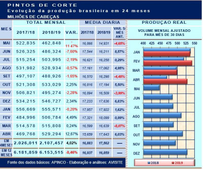 Pintos de corte: volume produzido no primeiro quadrimestre aumenta 4%