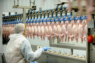 Importação de carnes pela China aumenta 50,8% em junho