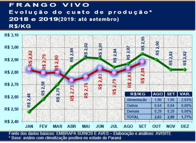 Valor bruto da produção do frango aumenta quase um terço na corrente década