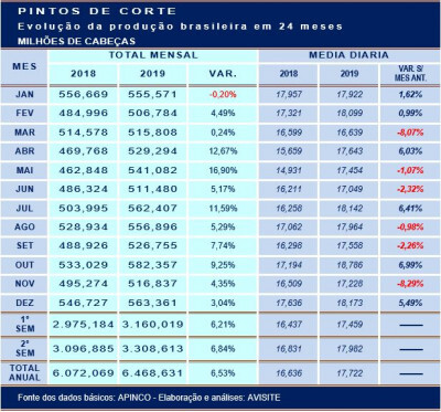 Pintos de corte: volume produzido em 2019 aumentou 6,5%