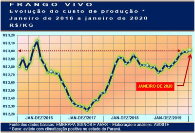 Custo de produção do frango sobe ao maior nível dos últimos 43 meses