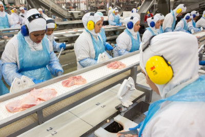 Exportações de carne de frango aumentam 10% em fevereiro