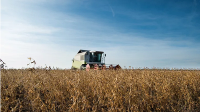 Valor bruto da produção brasileira será 8,2% maior em 2020, projeta Ministério da Agricultura