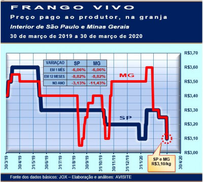 Na contramão dos custos em elevação, preço pago pelo frango vivo despenca