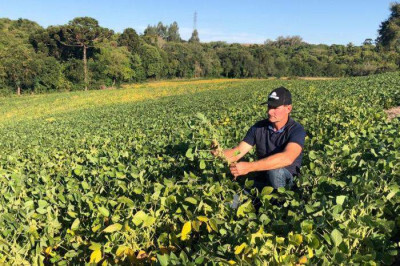 Agricultores gaúchos devem perder R$ 15,48 bilhões com quebra na safra de grãos