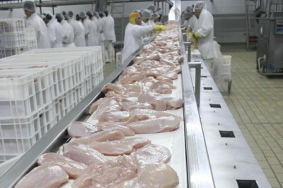 As razões para alta de mais de 80% nas exportações de frango do RS no primeiro trimestre