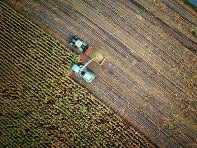 Ipea prevê alta de 2,4% para o PIB agropecuário em 2020