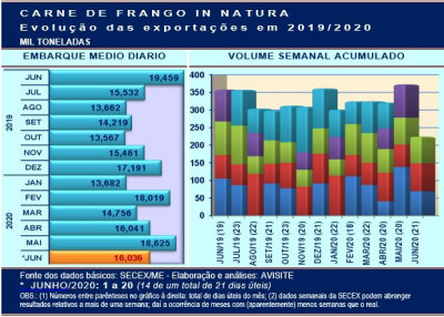 Em junho, Brasil já exportou perto de 225 mil toneladas de carne de frango in natura