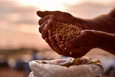 Faturamento do agronegócio deve chegar a R$ 716,6 bilhões em 2020, diz ministério