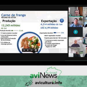 Produção e exportações de carne de frango devem crescer em 2020, mesmo com pandemia