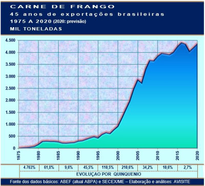 20200805_grafico