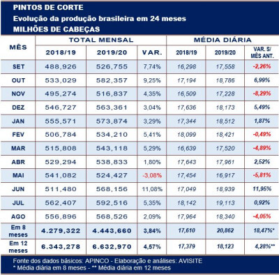 Em agosto, produção de pintos de corte recuou 4% em relação ao recorde de julho