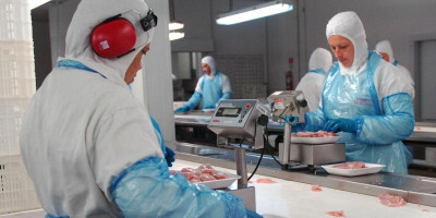 Levantamento-da-ABPA-indicou-9-4-de-queda-na-exportac-o-de-carne-de-frango-em-outubro