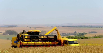 Valor Bruto da Produção Agropecuária deve chegar a R$ 848,6 bilhões