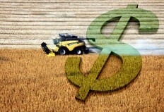 PIB do agro acumula alta de 8,48% no ano