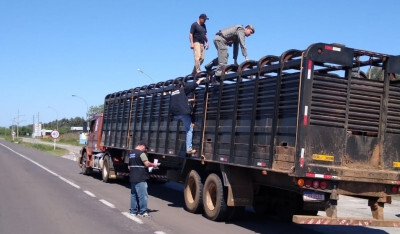 Rio Grande do Sul terá reforço de vigilância sanitária animal nas divisas do Estado