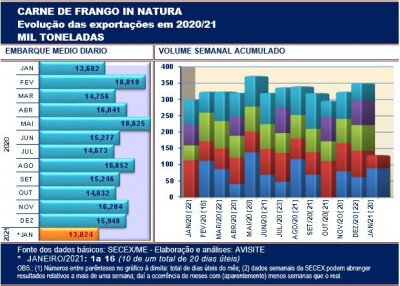 Embarques de carne de frango sofrem forte retração na segunda semana de janeiro