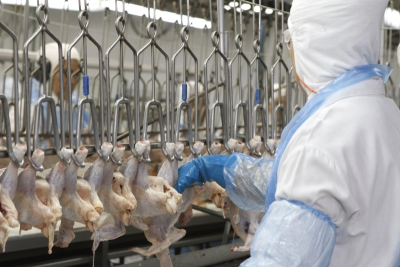 Exportações carne de frango têm retração de quase 10% em janeiro