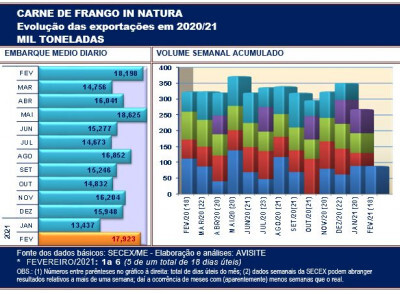 Embarques de carne de frango da 1ª semana de fevereiro repetem números do início de 2021