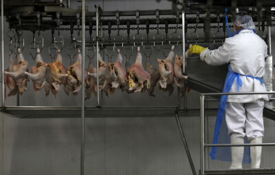 Exportação de carne de frango do Brasil cai 4,7% no 1º bimestre; ABPA vê março positivo