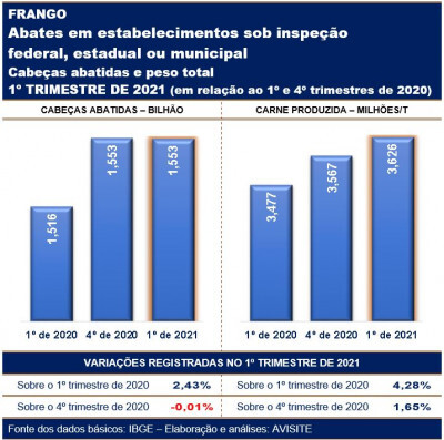 Carne de frango: abates inspecionados do 1º tri sinalizam total de 14,5 milhões/t em 2021