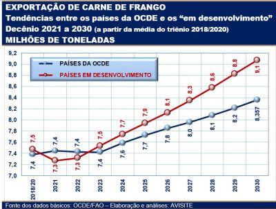 Na exportação de carne de frango, expansão maior está reservada a países em desenvolvimento