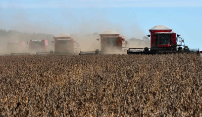 Valor da Produção Agropecuária de 2021 é estimado em R$ 1,099 trilhão