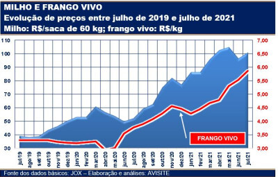 Enquanto frango tenta acompanhar, milho caminha para novo recorde de preços